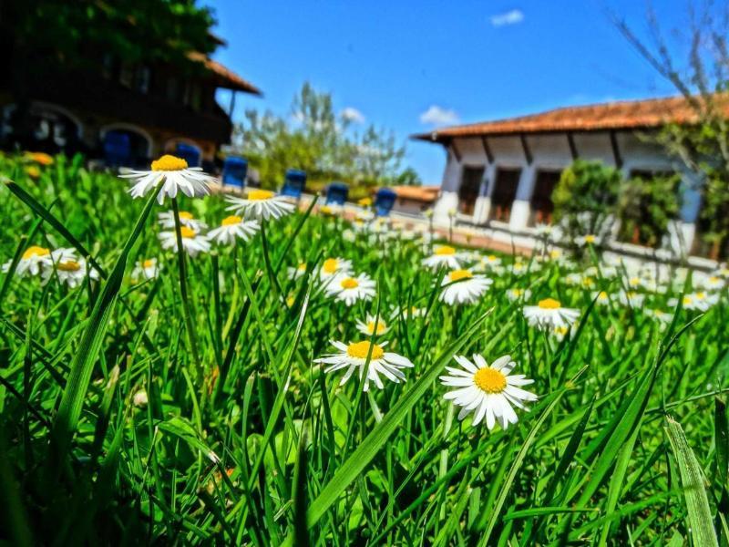 Hotel Izvora - Garden Retreat Арбанаси Екстер'єр фото