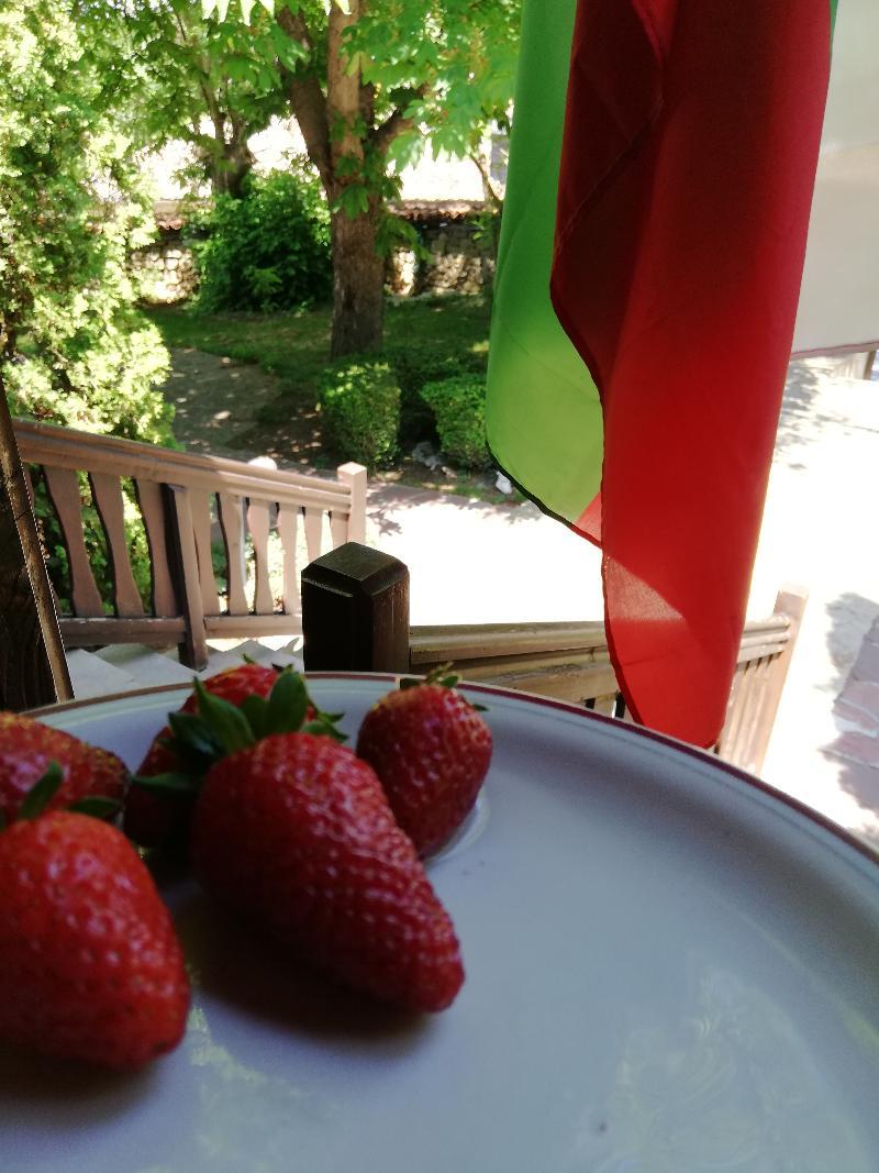 Hotel Izvora - Garden Retreat Арбанаси Екстер'єр фото